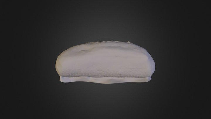 Pain 3D Model