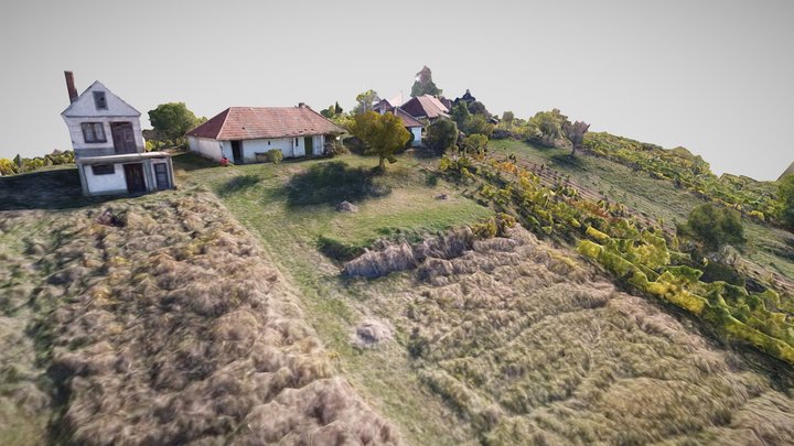 countryside 3D Model