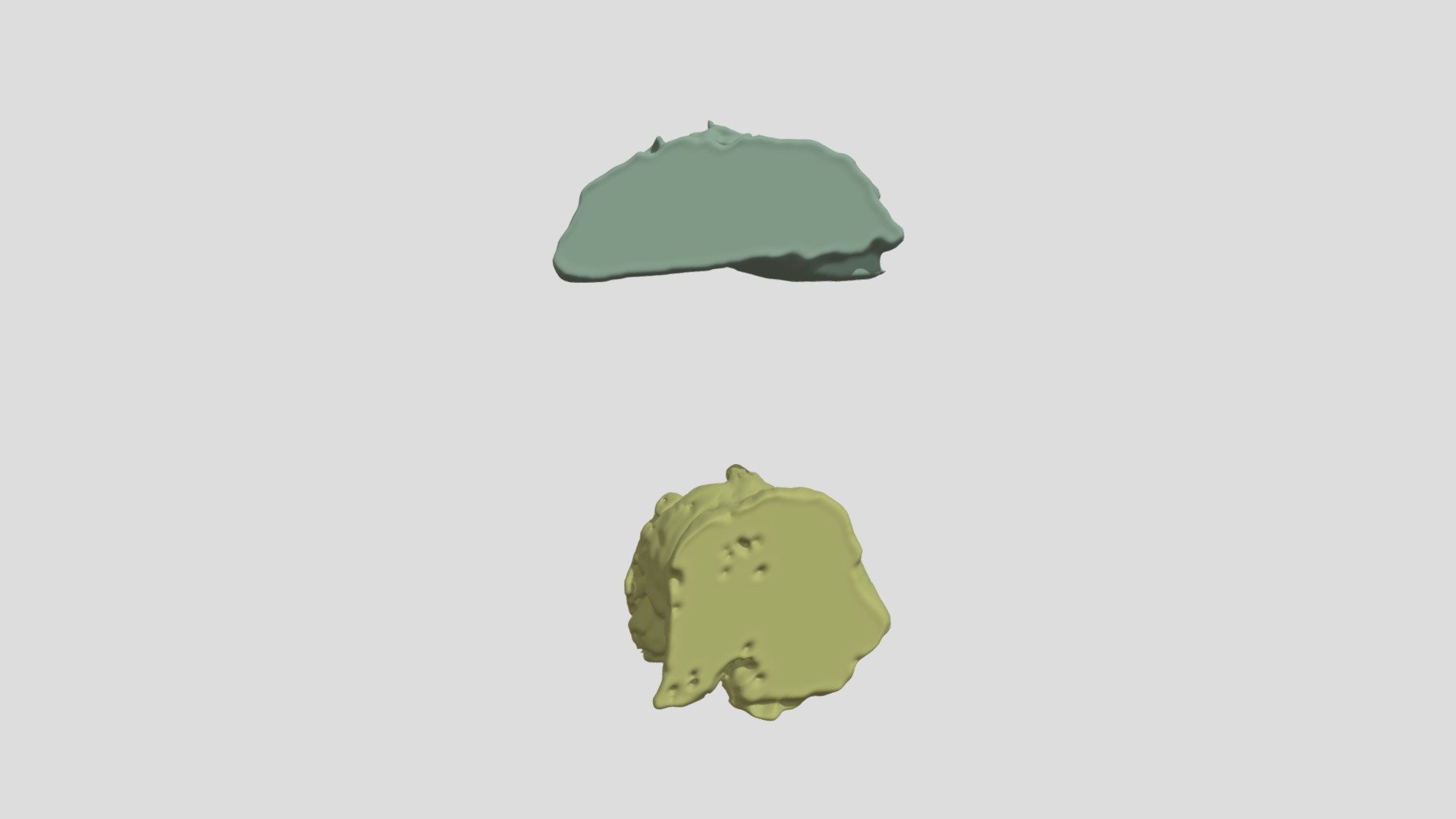 Segmentation of Rectum and Bladder