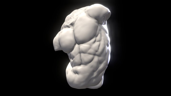 Anatomy Sculpt Study for Print 3D Model