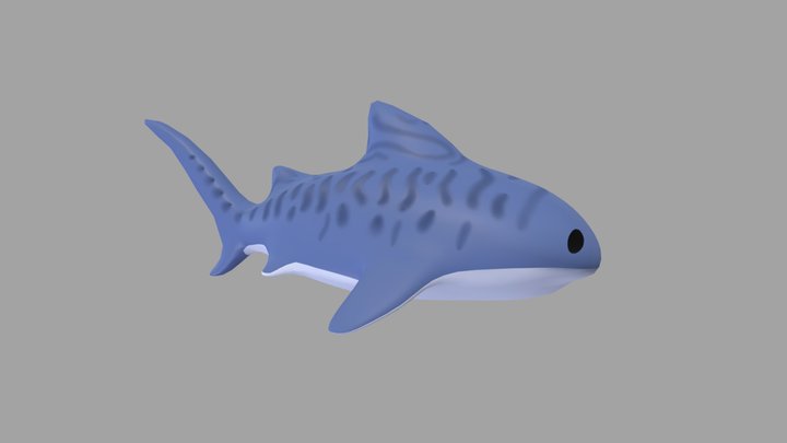 Shark 3D Model