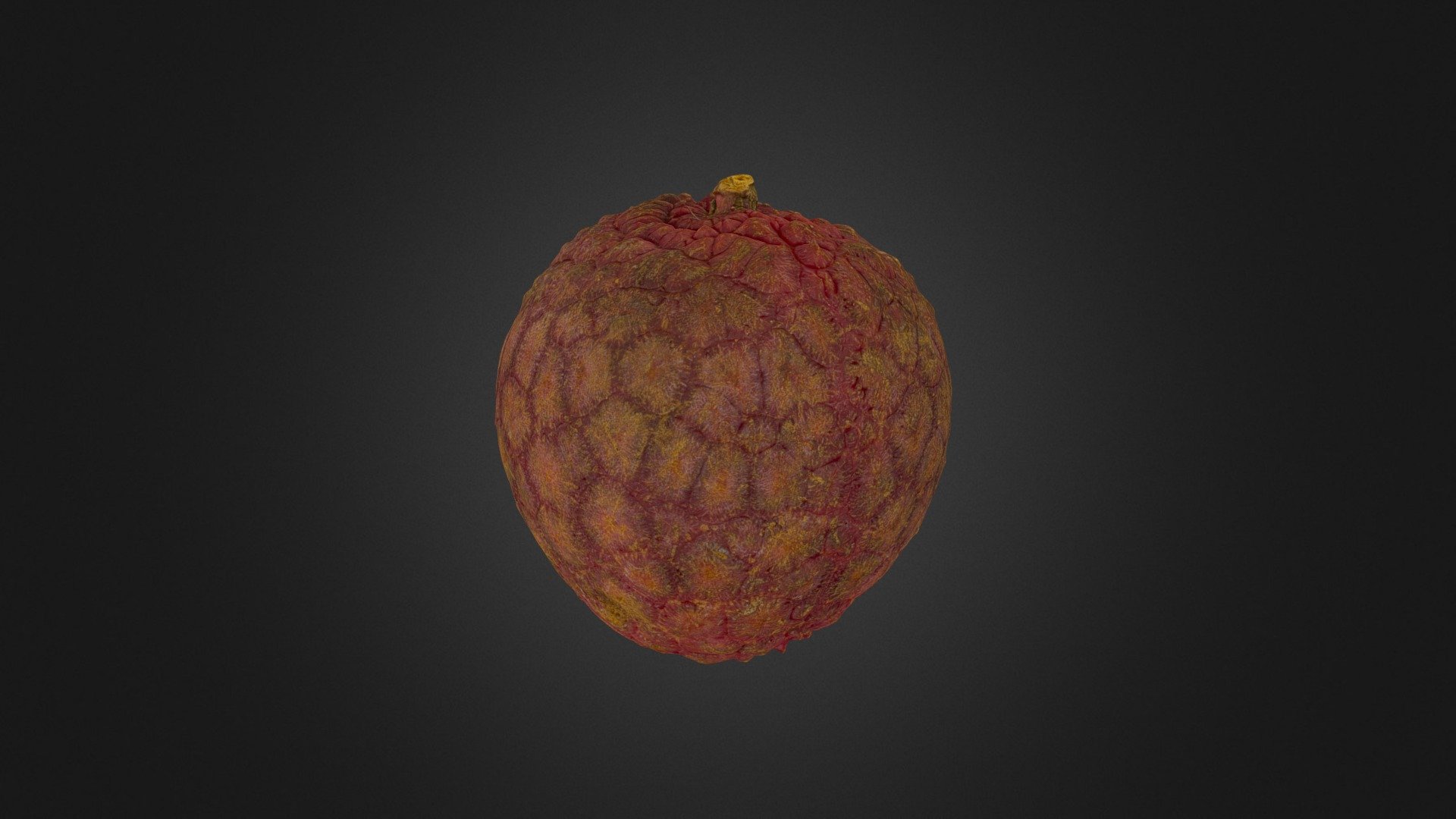 荔枝 litchi