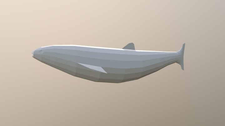 fish 3D Model