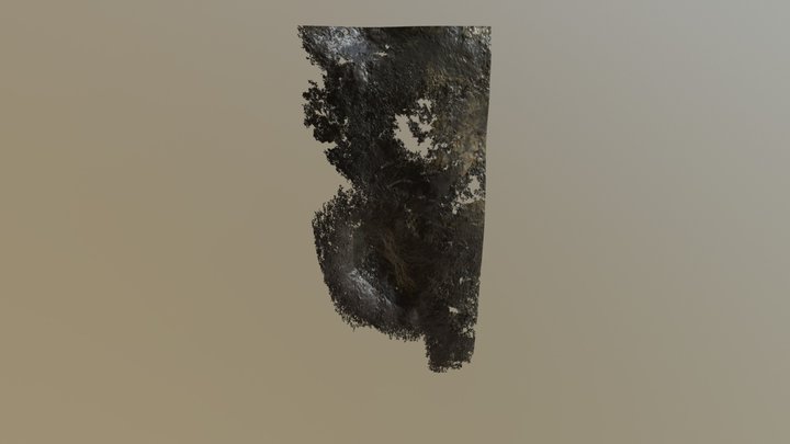 14 3D Model