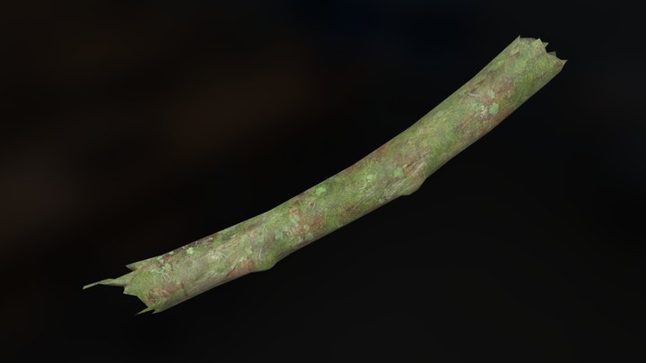 Branch-03-LP-001