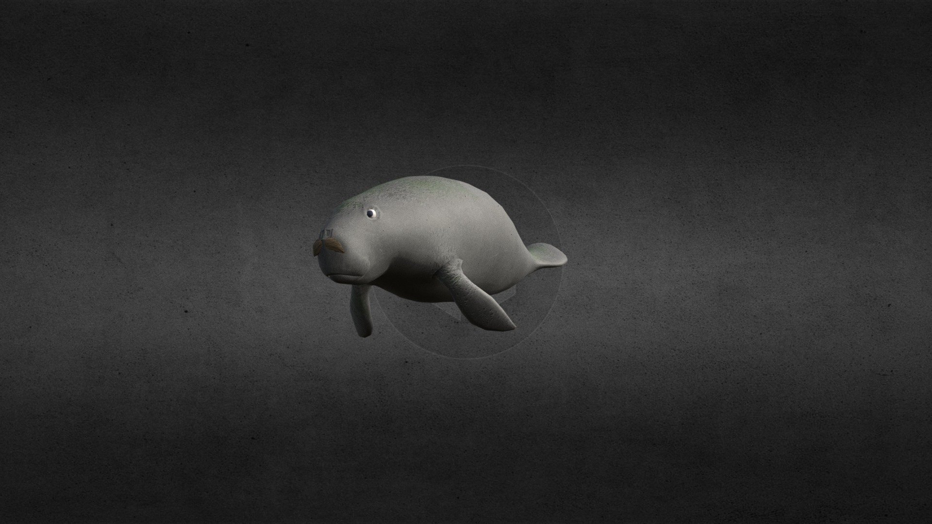 Manatee Idle - 3D model by Hyuk (@jangsh80) [fa969d7] - Sketchfab