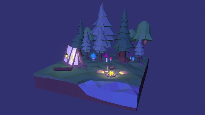 Night camp