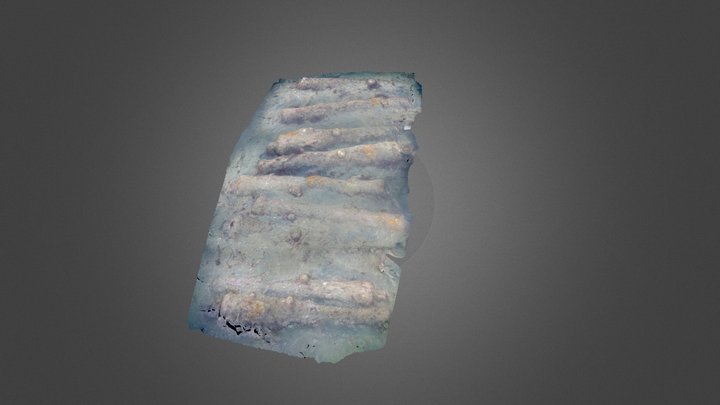 Canons sur le site de l'épave de la ZI24 3D Model