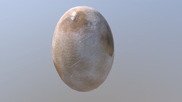Dinosaur Egg 3D Model