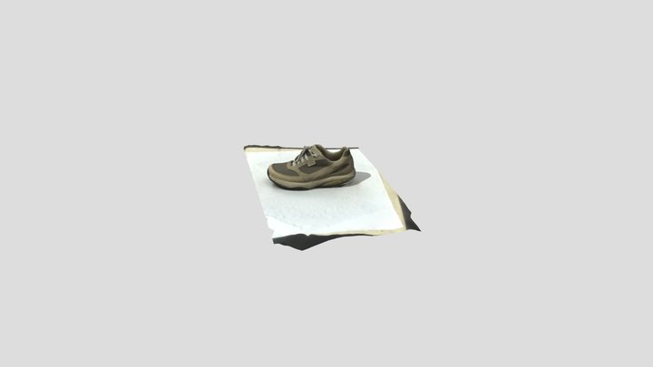 GEO 252 Lab1 Shoe 3D Model