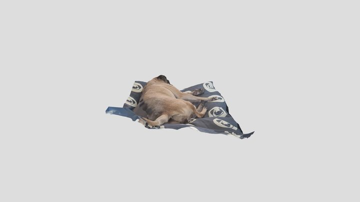 Narla dog 3d by nyel myel