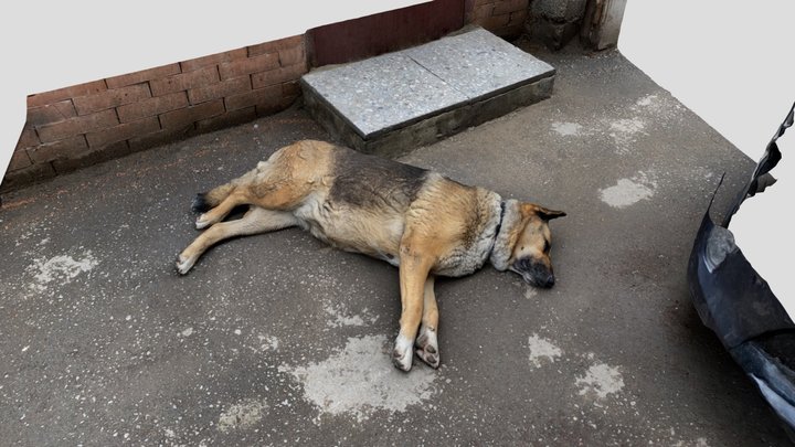 Sleeping dog 02 – Modello 3D gratuito STL
