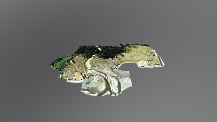 Englishman River Estuary 3D Model 3D Model