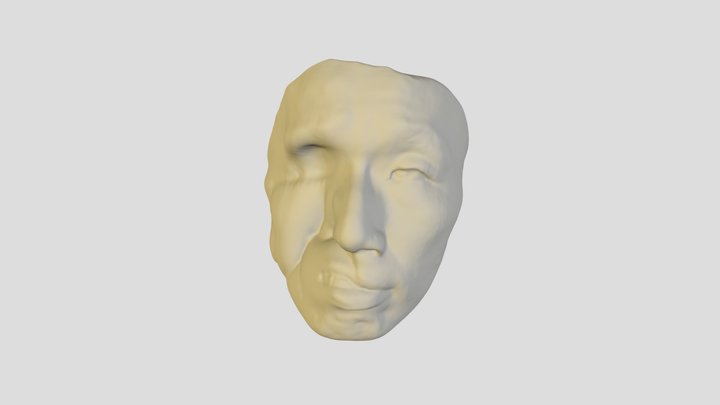 Face_open mouth 3D Model
