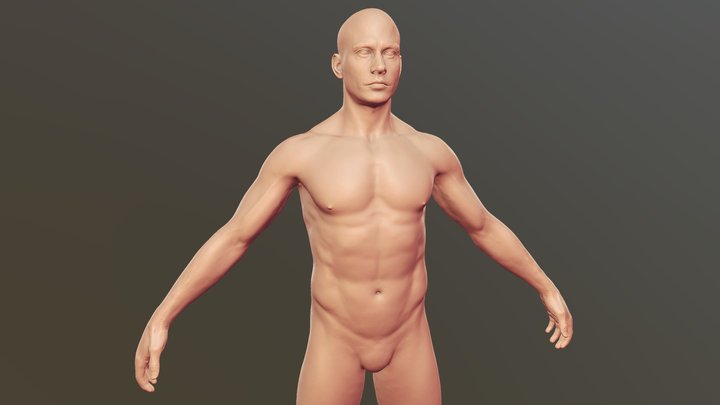 Male Body Sculpt 3D Model