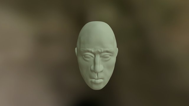 Face Practice 3D Model