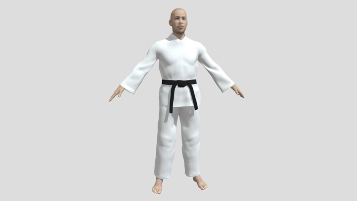 Karate Fighter 3D Model