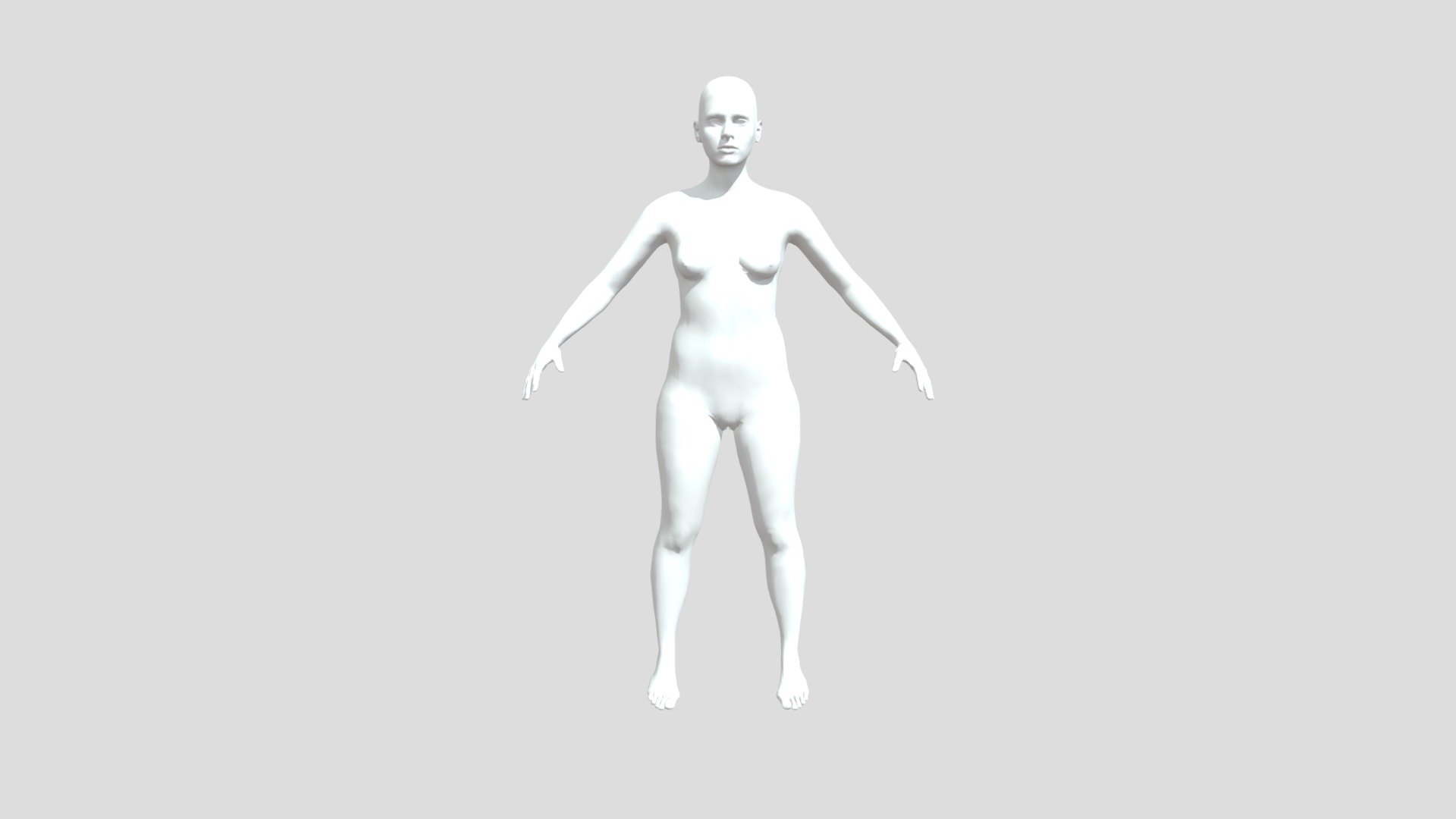 adult_female_genitalia_old2