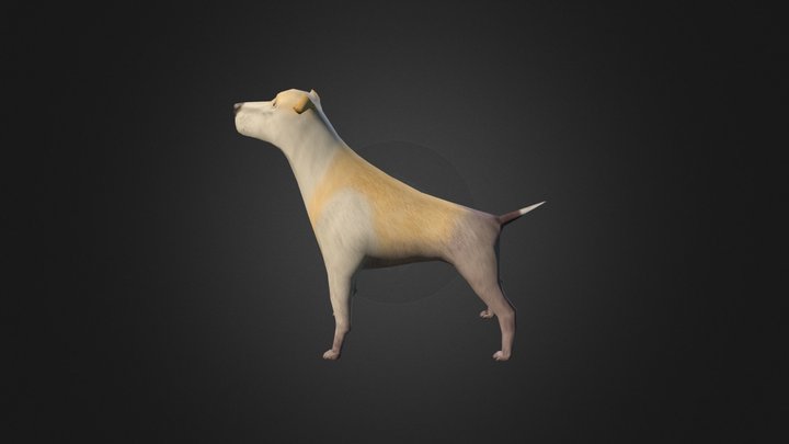 Dog-low 3D Model
