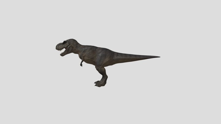 tyrannosaurus_rex 3D Model