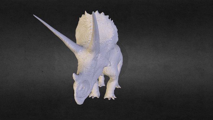 trictest1 3D Model