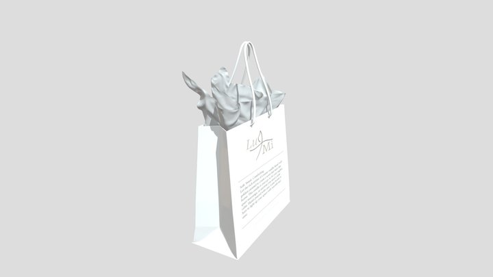 bag 3D Model