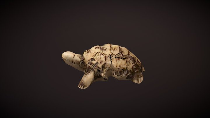 Tortuga 3D Model
