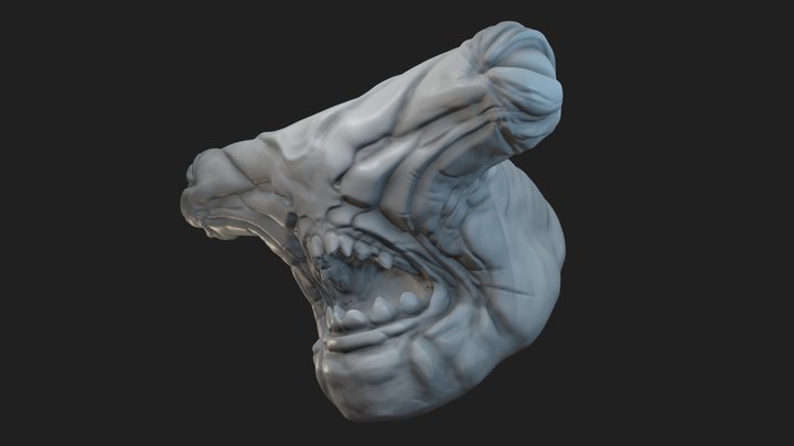 Jawsome head Sculpt 3D Model