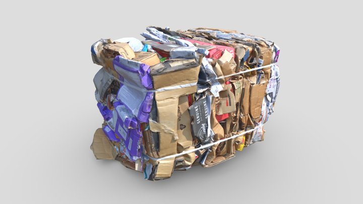 Compacted Cardboard Trash 3D Model