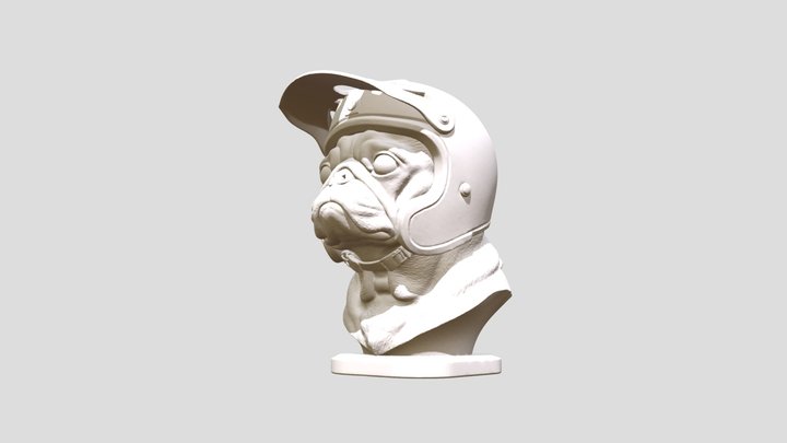 Pug in a Helmet 3D Model