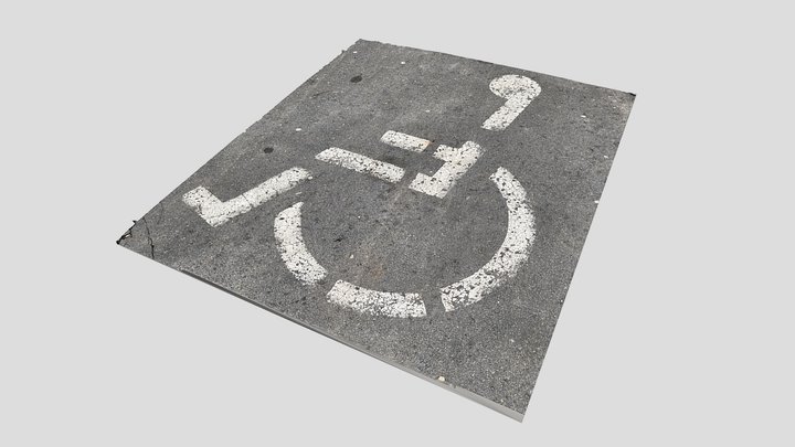 Limited Mobility Sign 01 - RAW Scan 3D Model