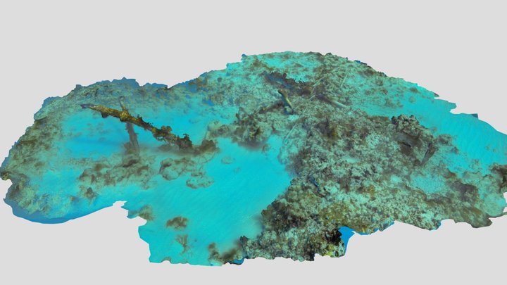 Coffins Patch Navigation Beacon 3D Model