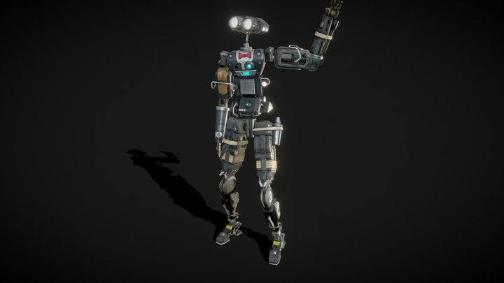 Mr. Robot (PBR & Rigged) 3D Model