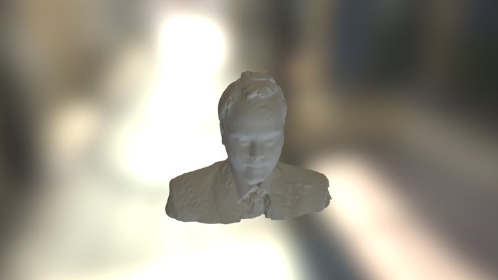 Chaitanya (03) 3D Model