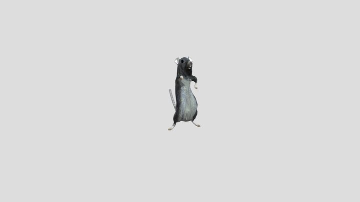 Rat Dancing 3D Model