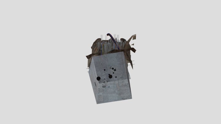 Animal-company-planetorium-cavern 3D Model