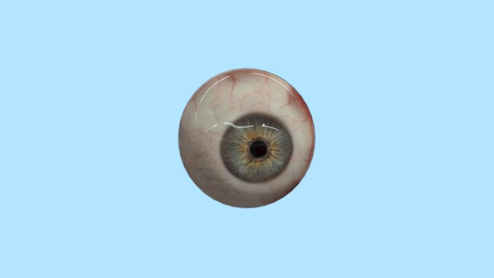 occhio umano 3D Model