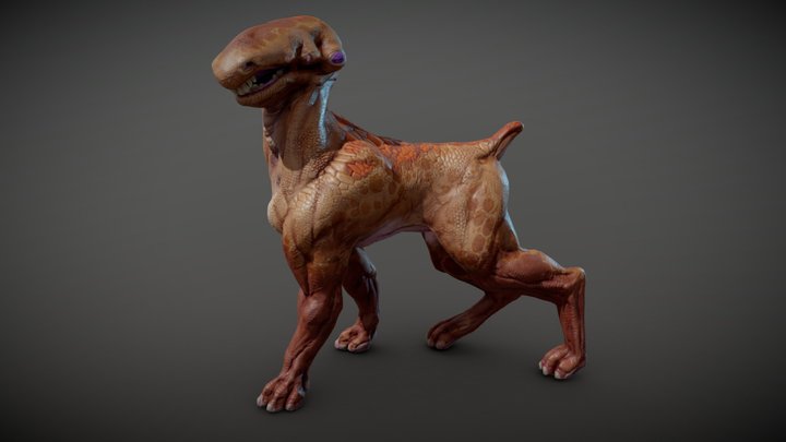 Dog Creature: Donkeydog 3D Model