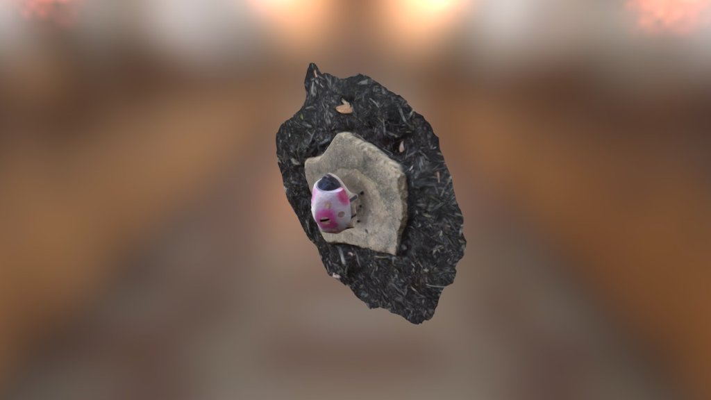 A TRNIO Model