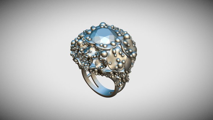 The ring from a reef 3D Model
