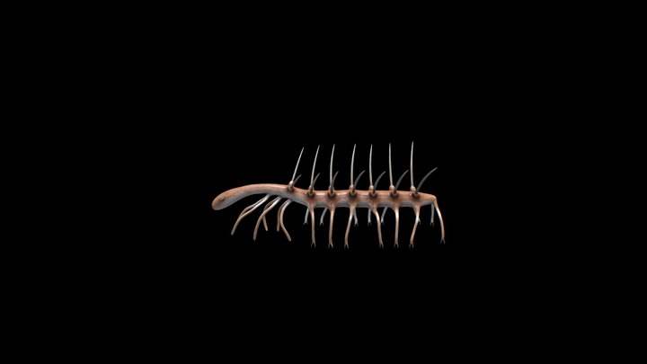 Hallucigenia Cambrian Animal 3D Model