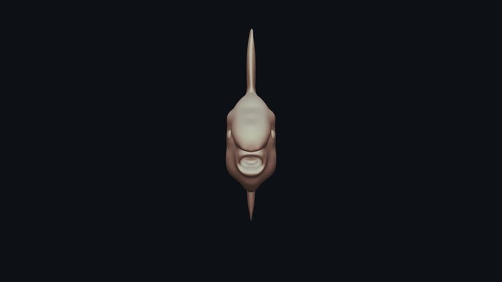 Sunfish Sculpt 3D Model
