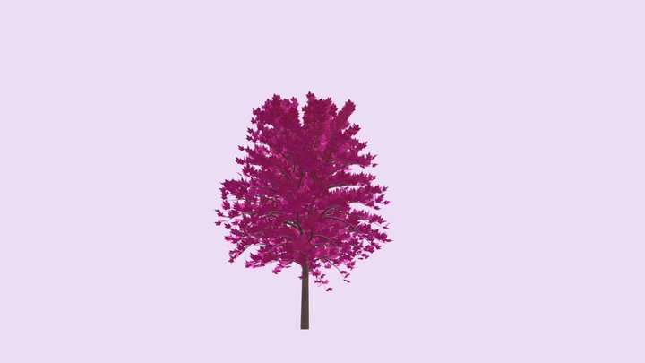 Simple Stylized Tree 3D Model