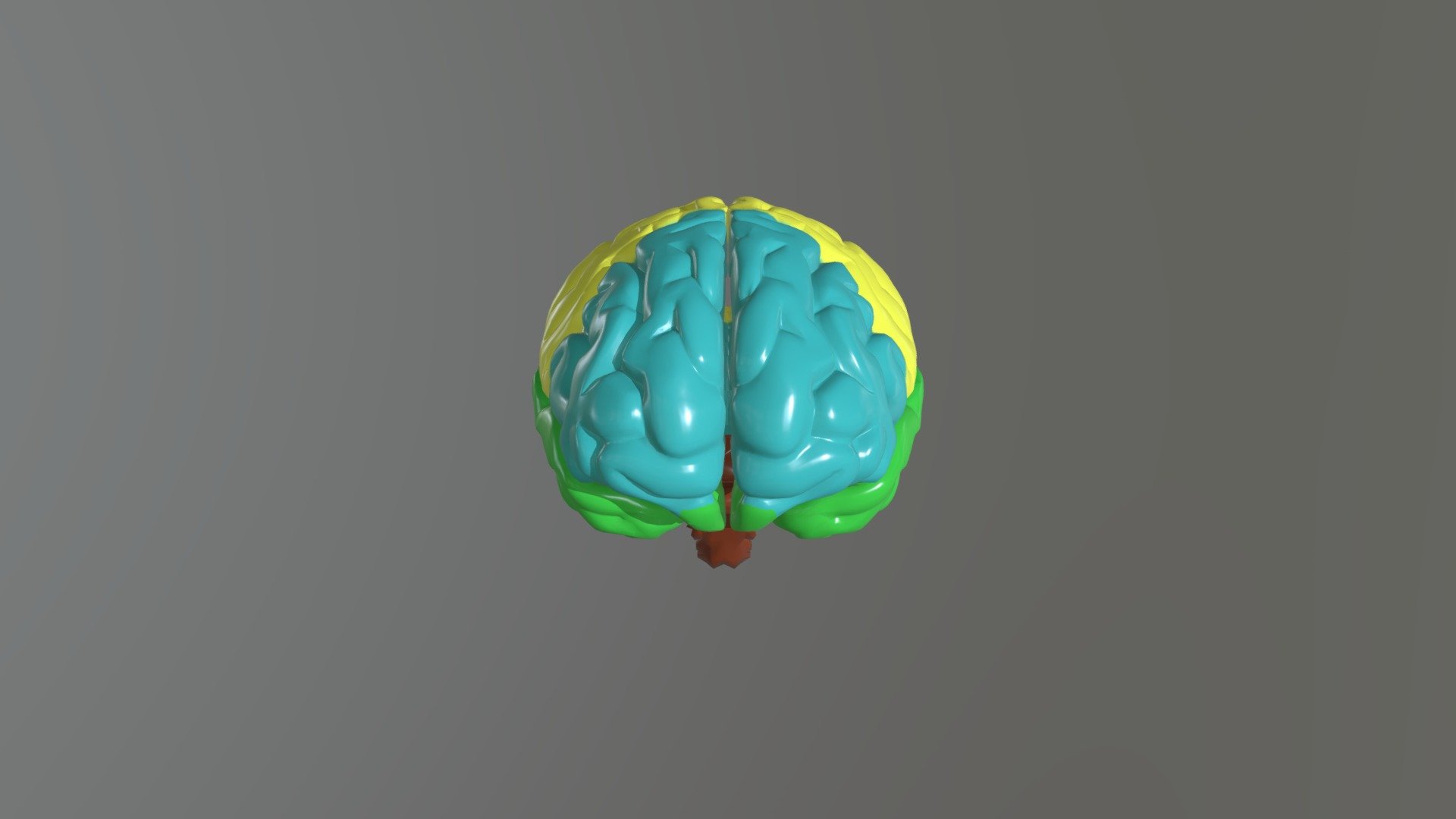brain_project - 3D model by FOCA___ [fadad95] - Sketchfab