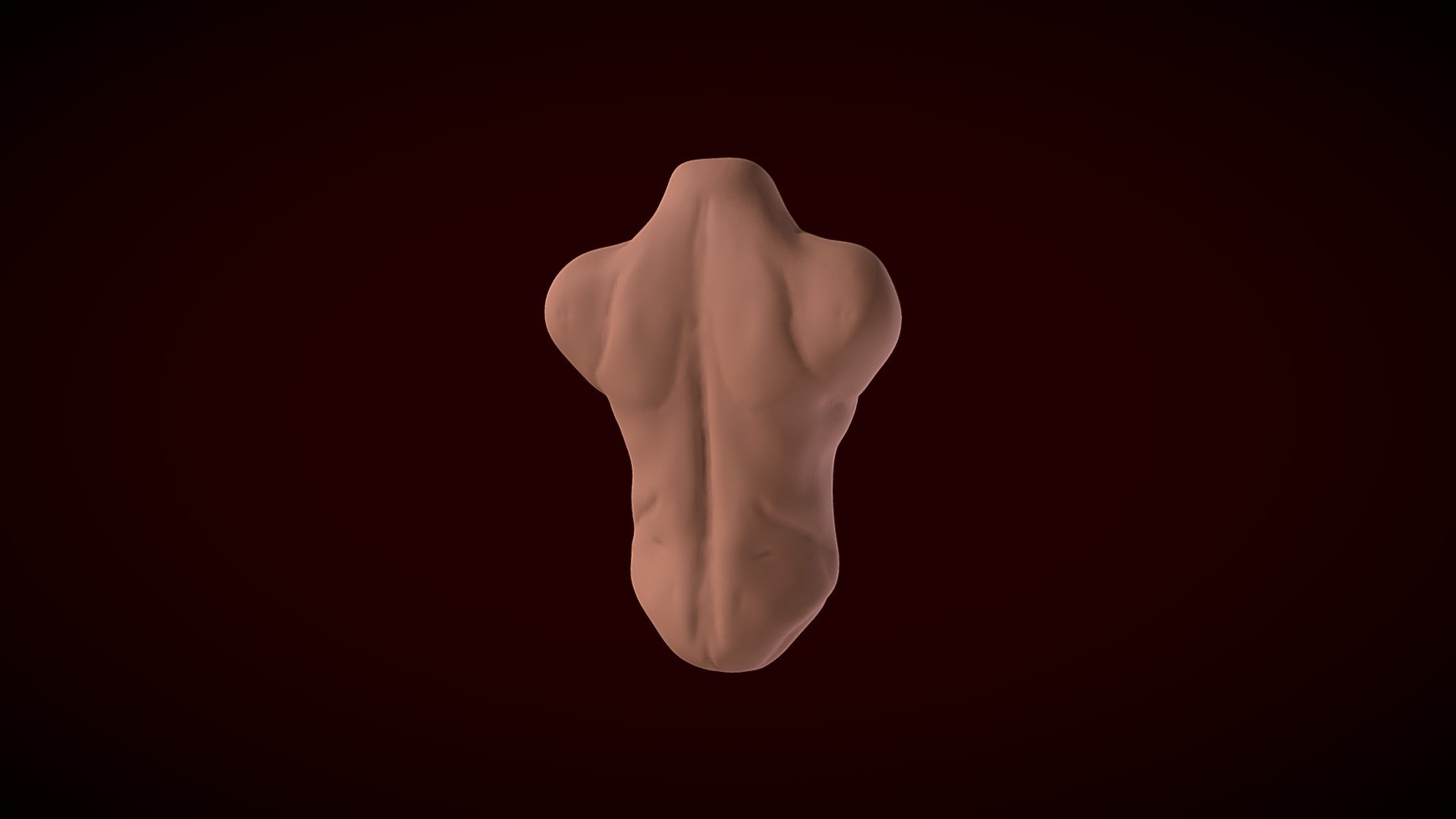 Feminim Torso Training