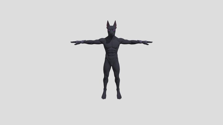 Shadow the Xolo – Unaligned Outsider 3D Model