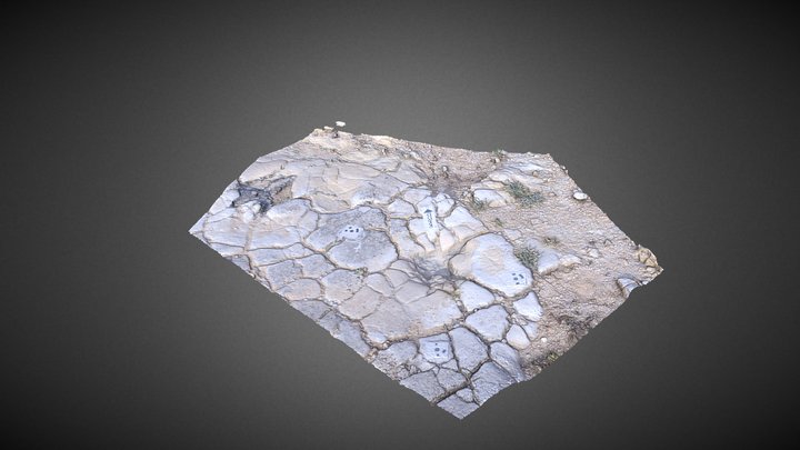 Pisadas de un dinosaurio bípedo, gran carnívoro? 3D Model