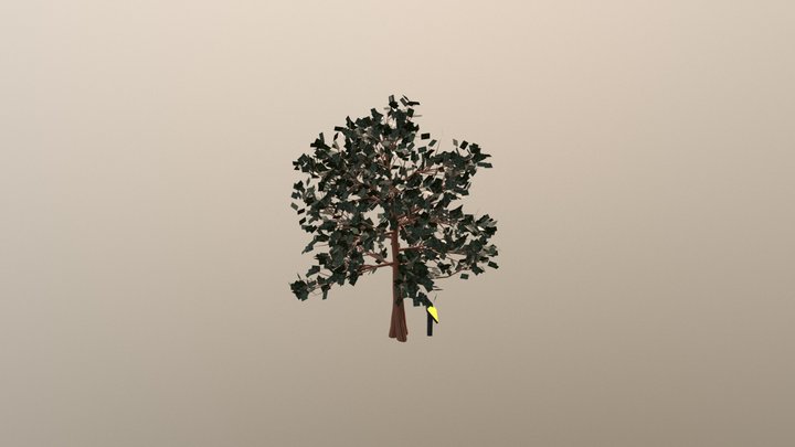 Legacy Tree 3D Model