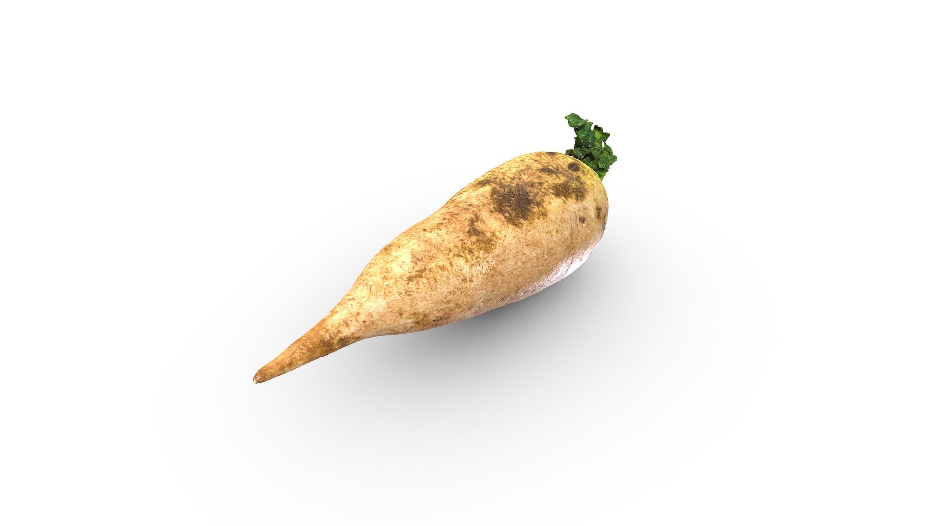 Garden Radish - 3D model by RawCatalog.com (@rawcatalog) [fae63b2 ...