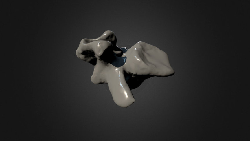 Nothronychus mckinleyi caudal vertebra